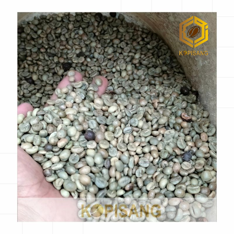 BIJI KOPI ROBUSTA LAMPUNG ASALAN 1 KG