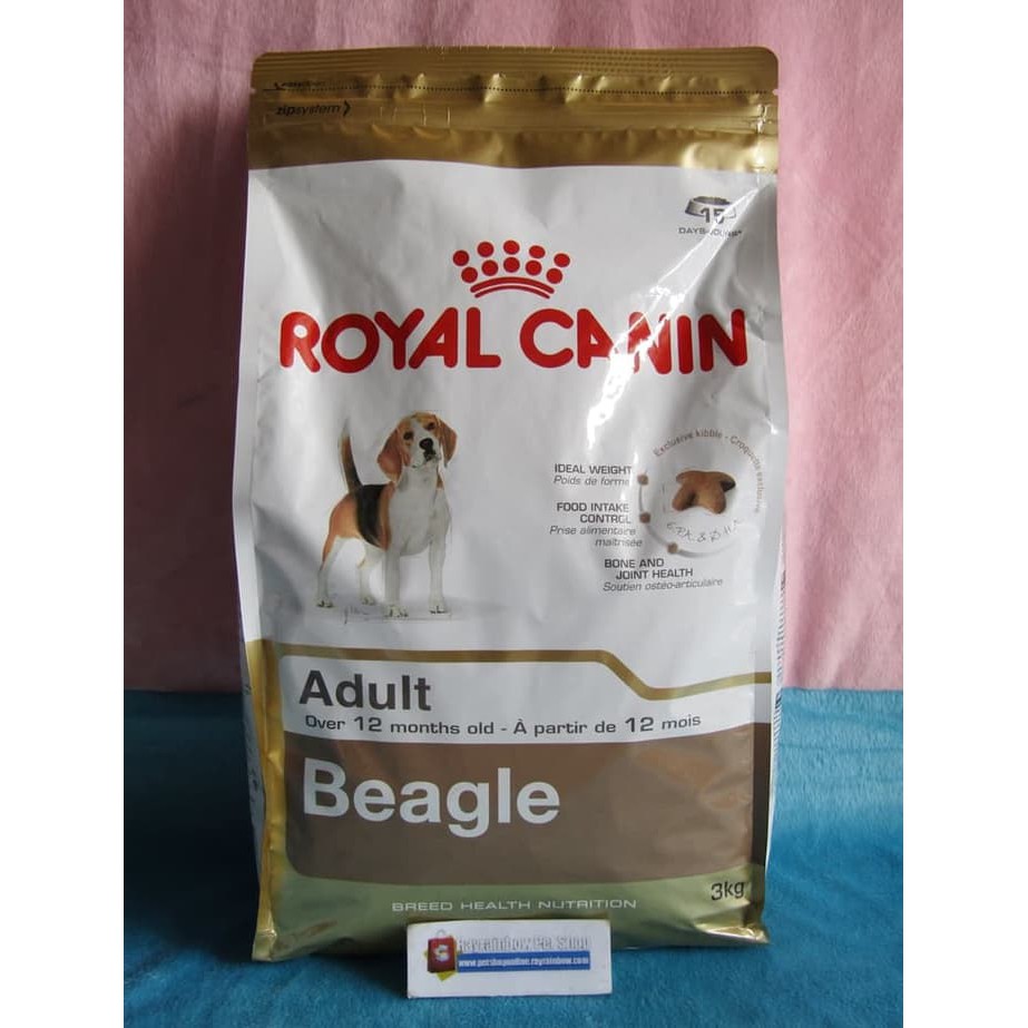 beagle dog food