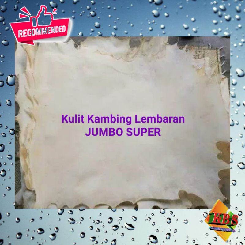 Kulit Kambing Lembaran JUMBO SUPER