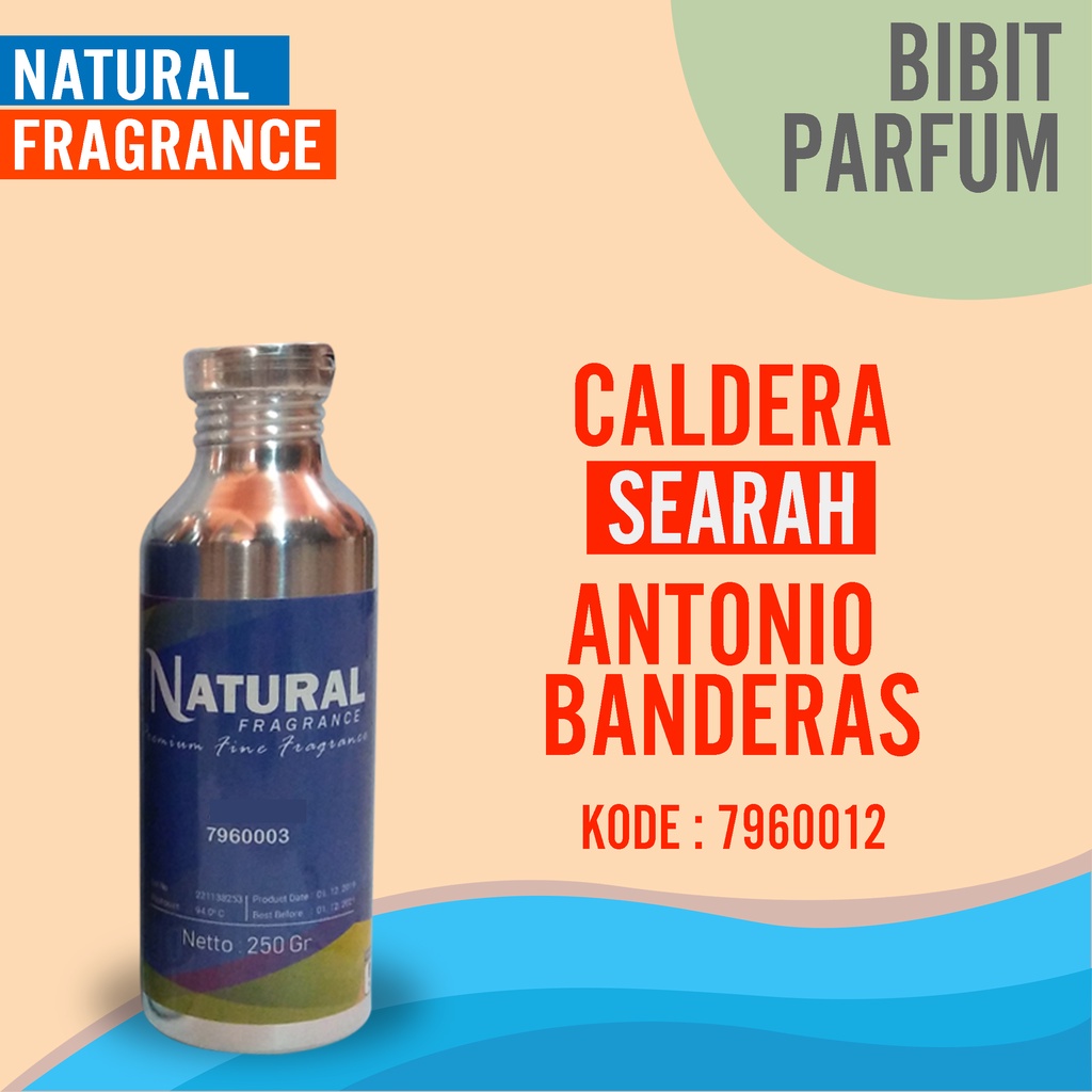 BIBIT PARFUM MURNI ANTONIO BENDERAS - CALDERA NATURAL FRAGRANCE 100 ML