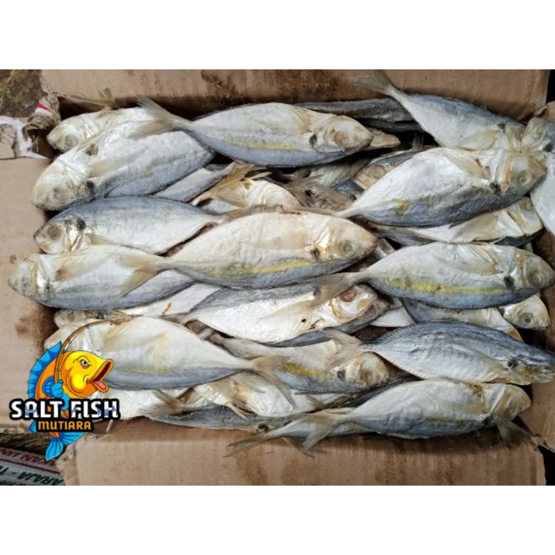 

Ikan Asin Selar Jumbo Kemasan 500 Gram