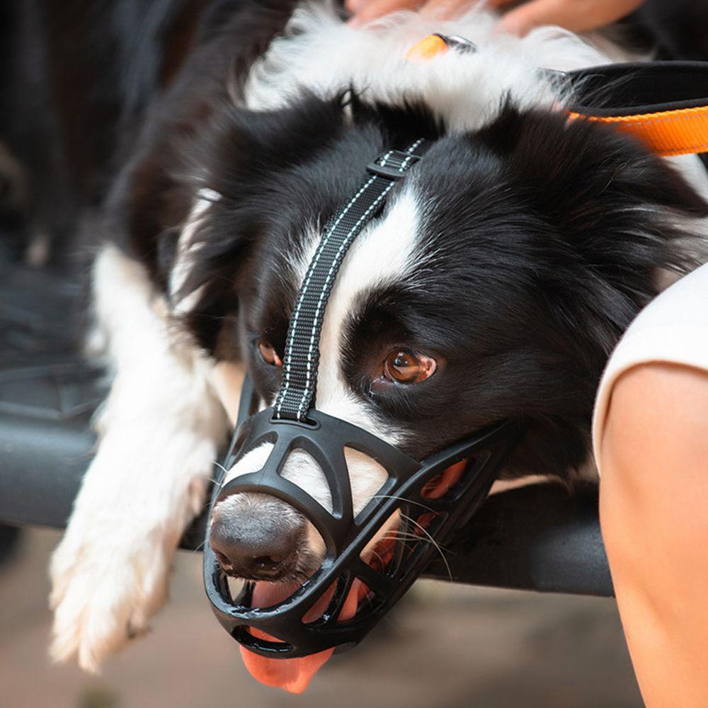 Suyo Muzzle / Brongsong Penutup Mulut Anjing Peliharaan Adjustable Breathable Motif Kotak-Kotak