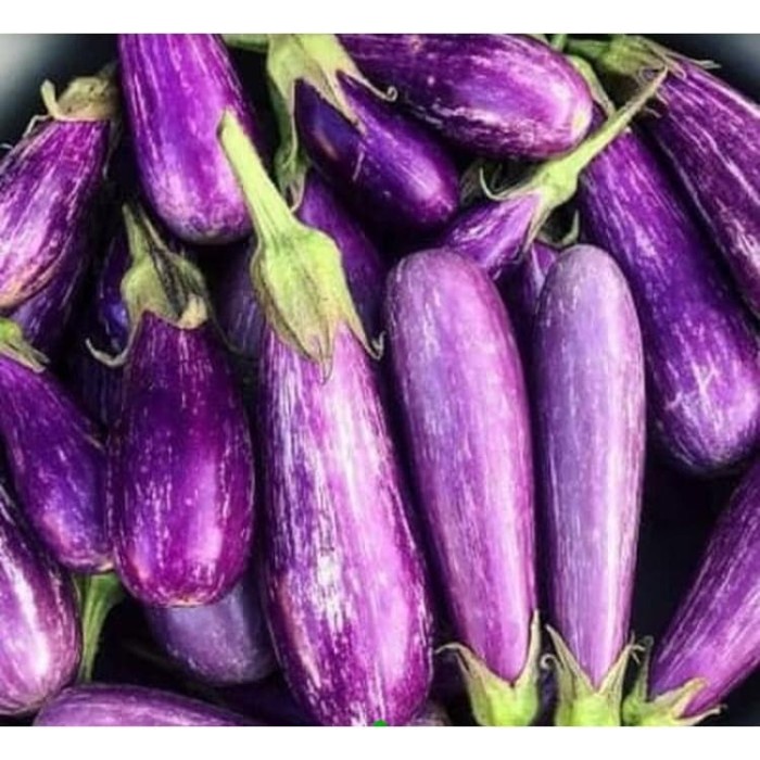

Terong Ungu Fresh 500 gram