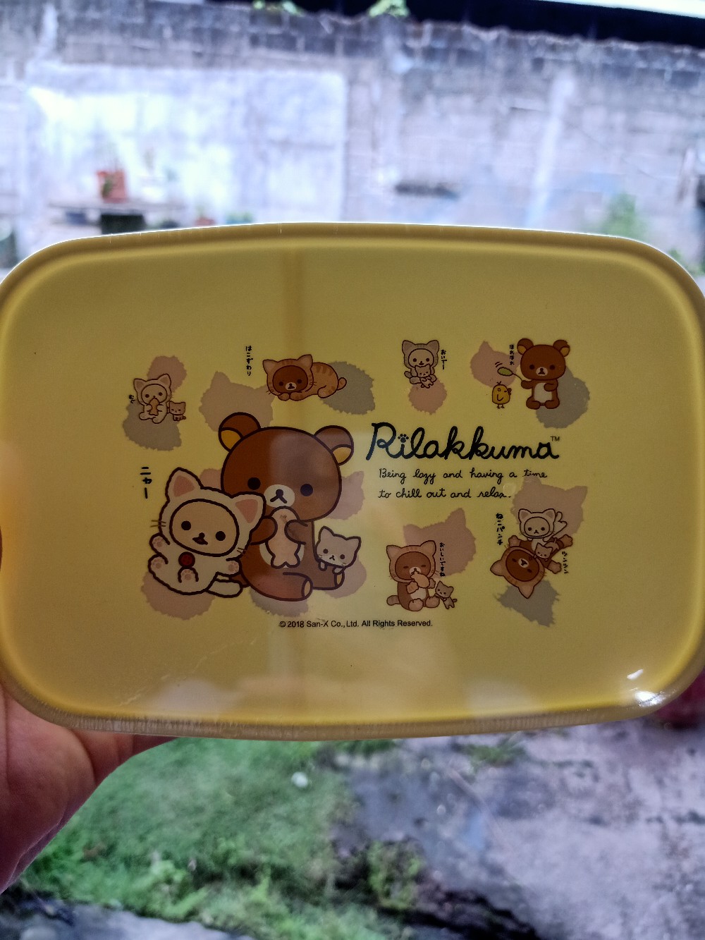 Kotak Makan Lion Star/ Japan Sealware Ls Bc-9