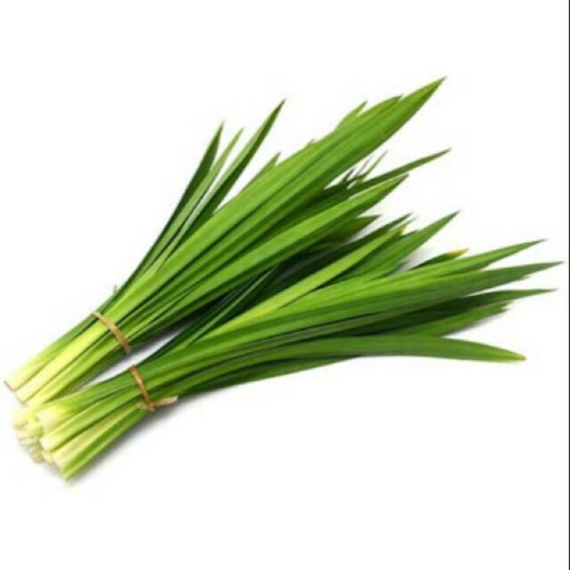 

daun pandan per iket