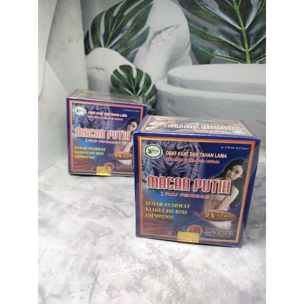 Macan putih kapsul ori