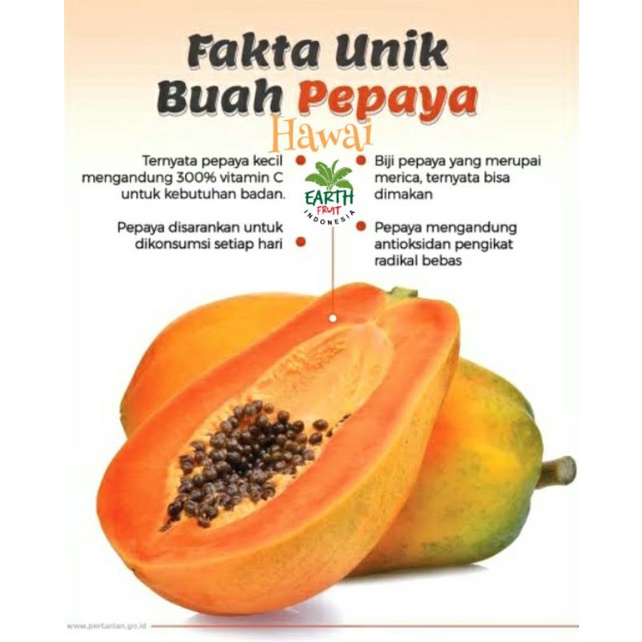 

pepaya Hawai