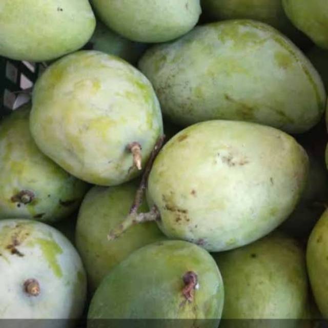 

Mangga cengkir 1 kg bandung