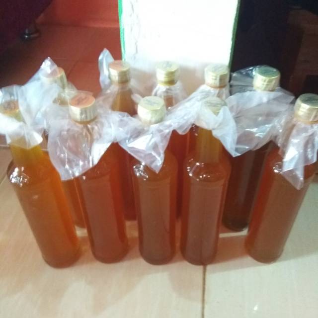 

Madu kelulut trigona gold