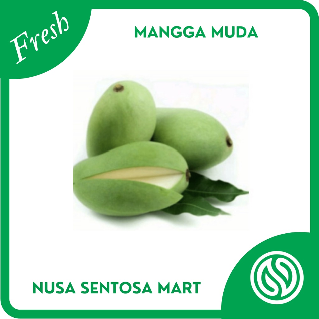 

Buah Mangga Muda / Mangga Mentah Segar - 1 Kg