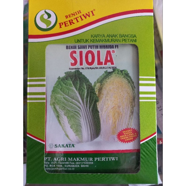 

Benih Sawi Putih SIOLA 10 Gram Benih Pertiwi