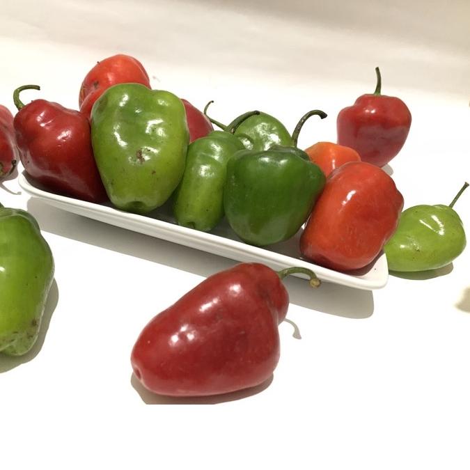 

Original cabe dieng cabai gendot bendot 1kg habanero |Trend|Update|Hanya hari ini