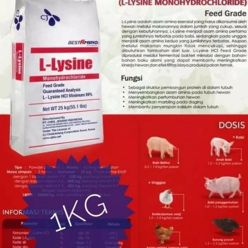 L Lysine HCL Asam Amino 1 kg