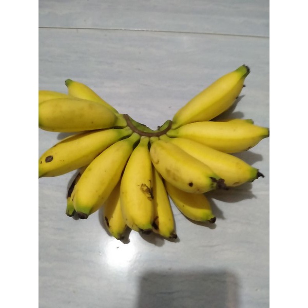 

PISANG BANTEN/SISIR.