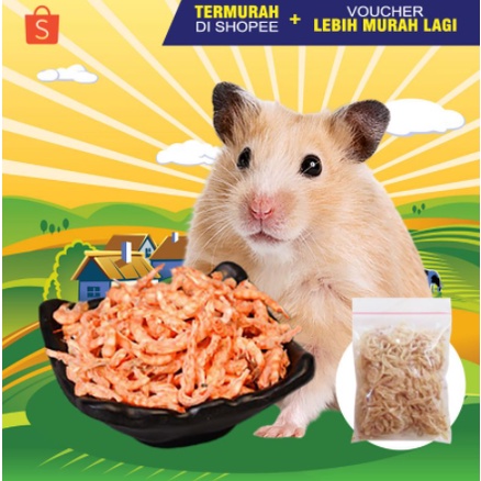 UDANG MINI - Makanan Hamster Camilan Hamster Snack Hamster Dried Shrimp Landak Mini