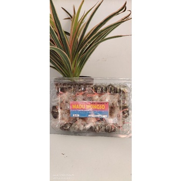 

MADU MONGSO mika 500g