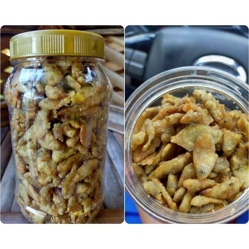 Ikan Wader Bayi / Baby Fish Wader