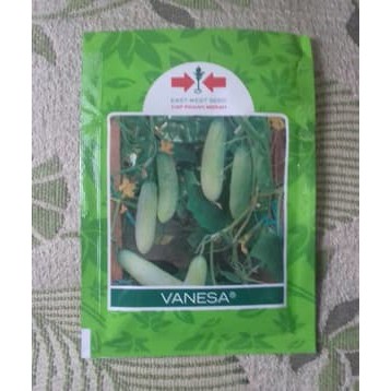 Benih Timun Mentimun Vanesa 20 gram