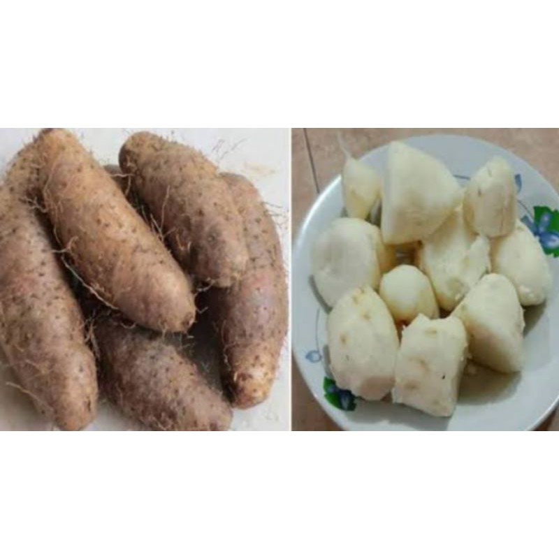 

Ubi Uwi Gembili//Kemalong Rp. 14.000
