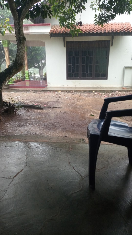 Cemen Batik Hrb026 Kenongo Kemeja Tosca Pendek Pekalongan Padi M L Xl Sogan Tulis Halus Kemeja Batik