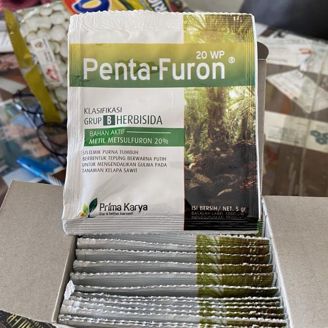 {{{{}}] Ally Herbisida Pentafuron 20WP 5gr Metil Metsulfuron roundup gramoxone