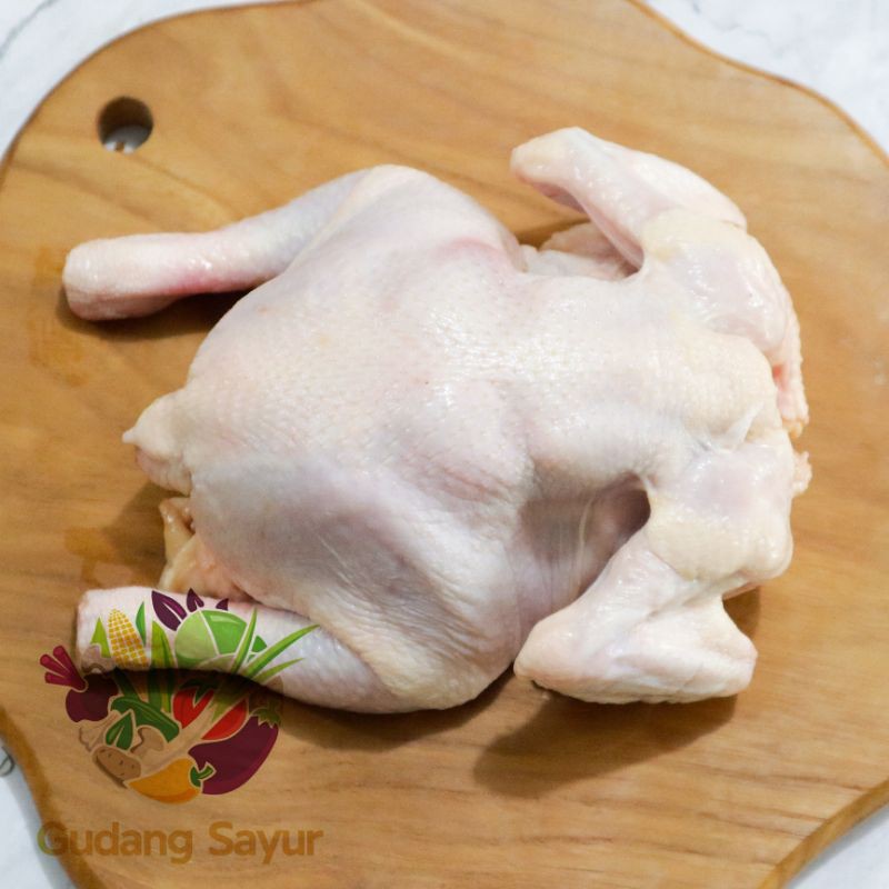 

Gudang Sayur - Ayam Negri Segar Bisa Dipotong 800 - 900 Gram