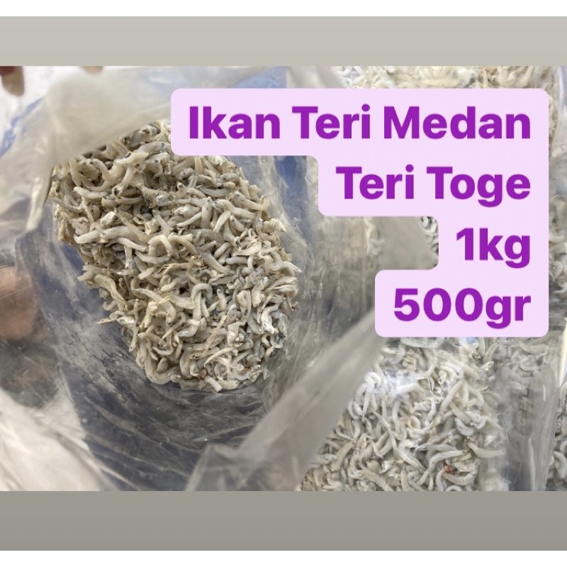 

IKAN TERI TOGE MEDAN