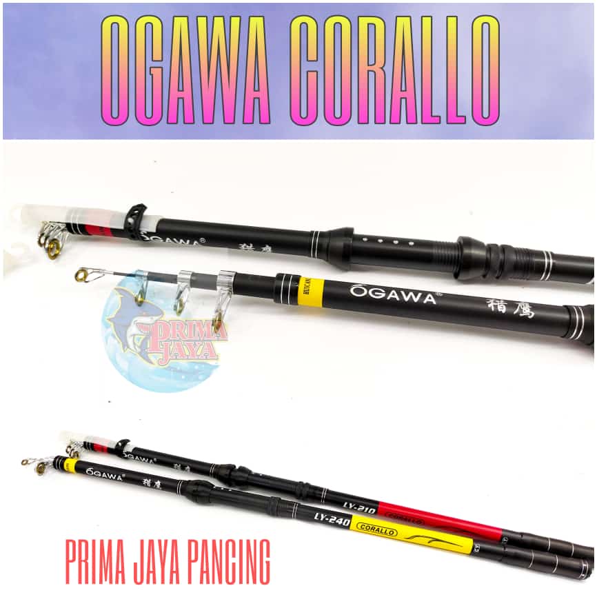 Joran Ogawa Corallo