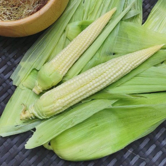

Baby Corn Jepang Organik / Jagung Semi 200gr