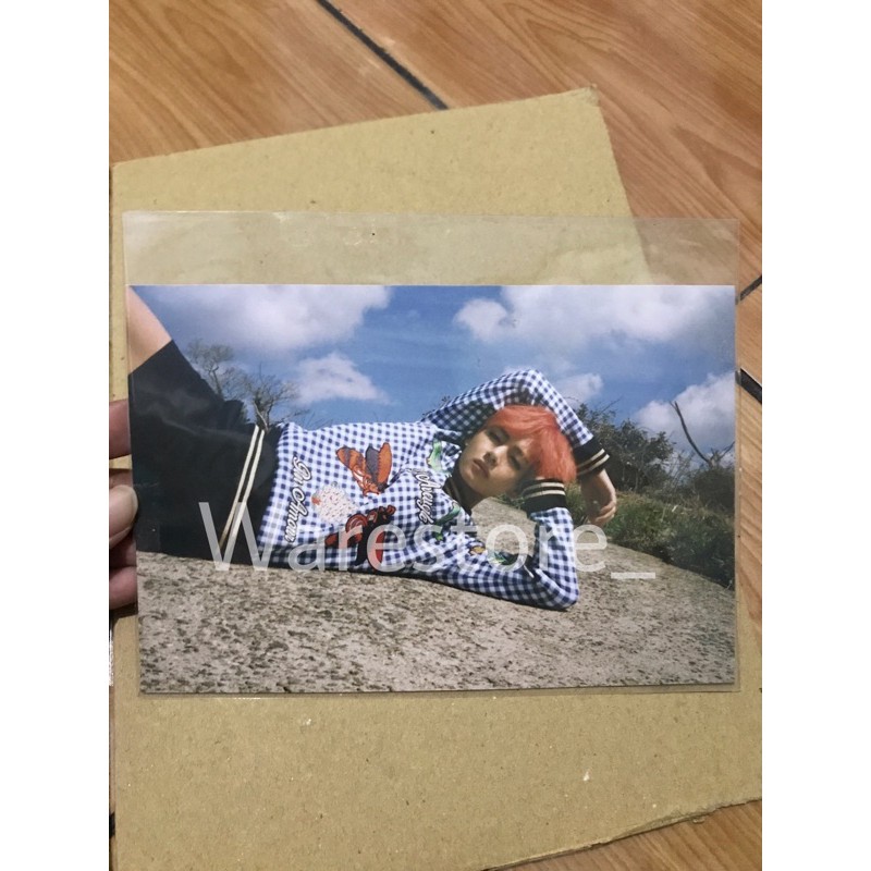 POSTCARD TAEHYUNG ARMYPEDIA YOUNG FOREVER