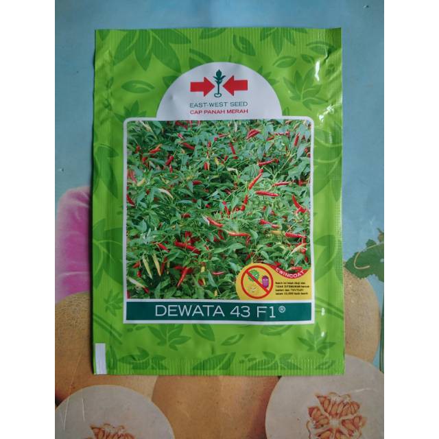 Benih Bibit Cabe Rawit Putih Hibrida DEWATA 43 F1 2250 Biji