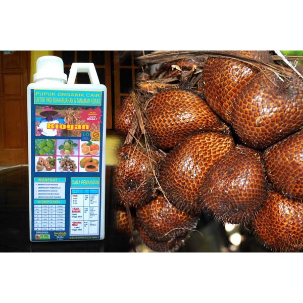 POC BIOGAN UNTUK BUDIDAYA TANAMAN SALAK 1000ml