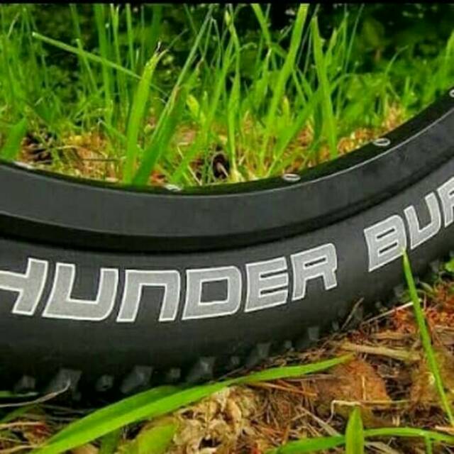 schwalbe thunder burt 650b