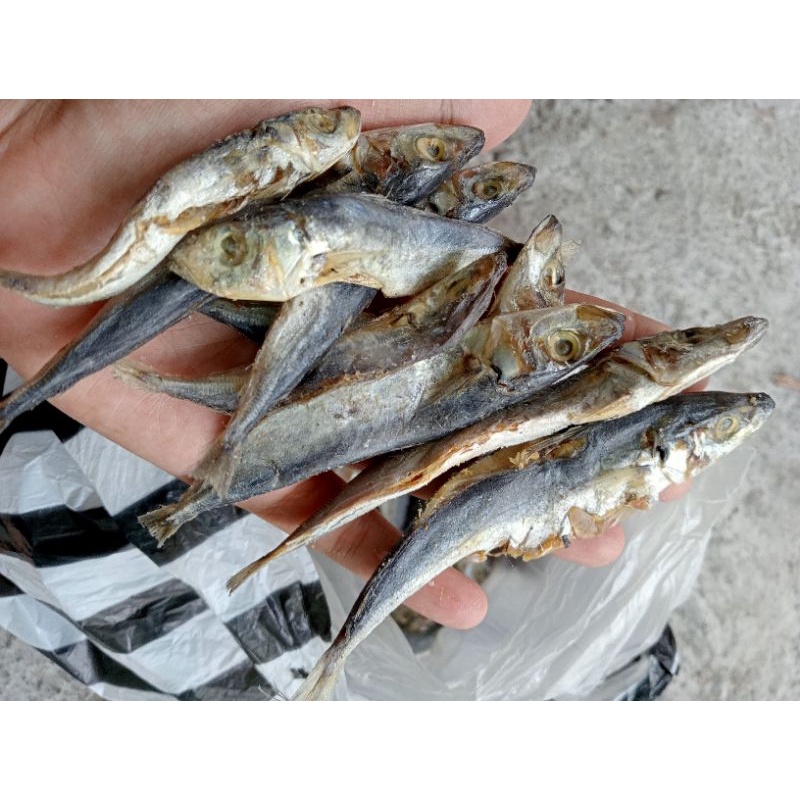 

IKAN ASIN TOWO ASLI ENAK 250 GR