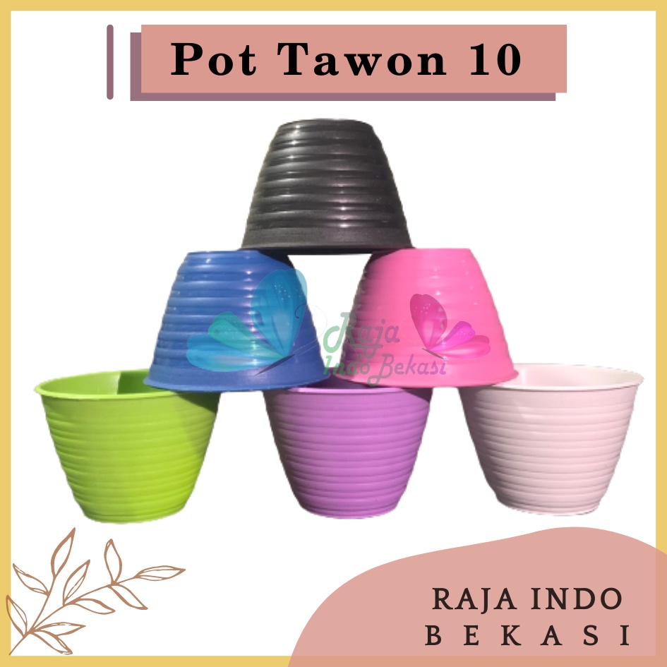 Pot Tawon 10 Cm Putih / Pot Madu 10 / Mdn 10 / Dahlia Plastik 10CM Vas Bunga Tanaman Kaktus