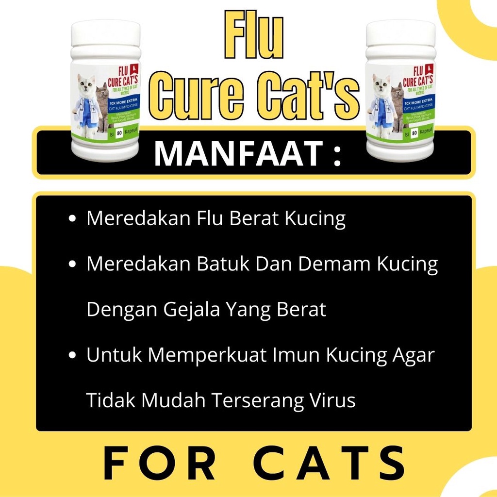 Obat Batuk Dan Flu Berat Pada Kucing / Obat Flu Kucing FEZONE