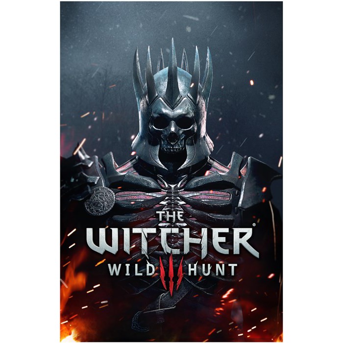 poster PP324113 The Witcher 3