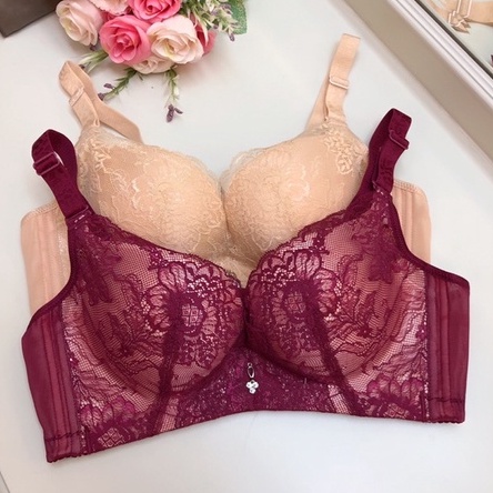 BRA SEAMLESS RENDA (K-T25) TANPA KAWAT BUSA PUSH UP RENDA PREMIUM PAKAIAN DALAM IMPORT