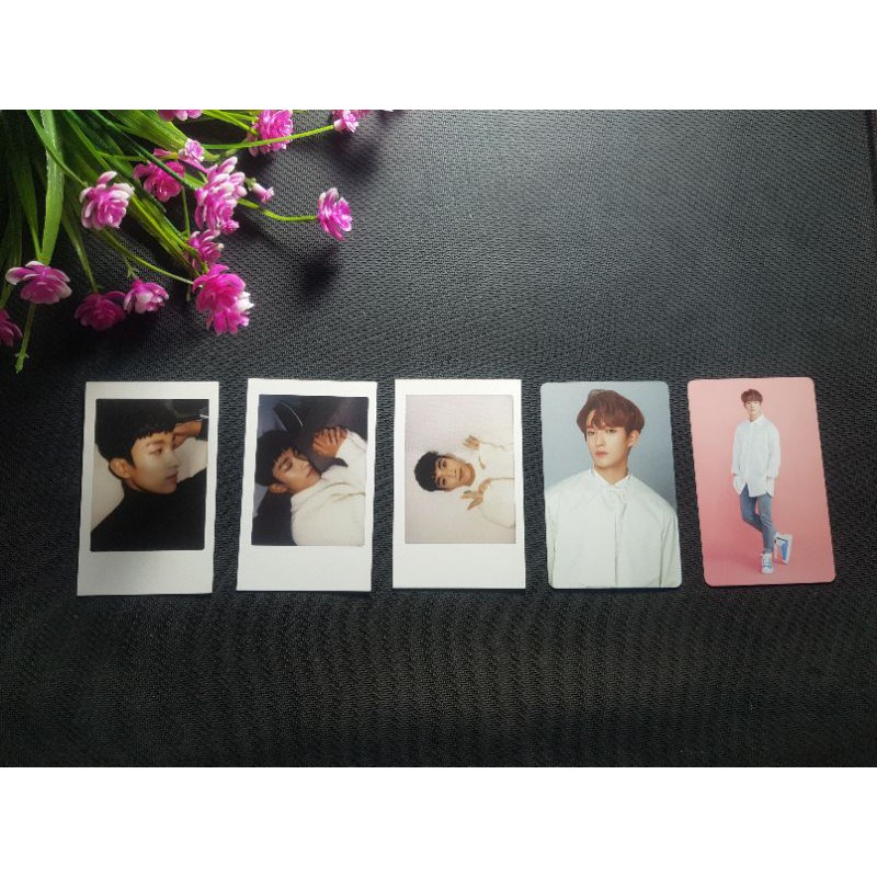 PC DK Caratland Photocards 2017 2018 (1 set)