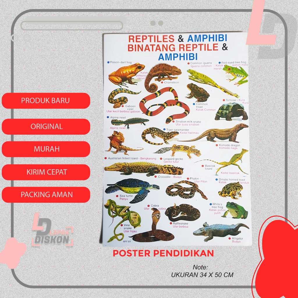 

Poster Edukasi Mengenal Binatang Reptil