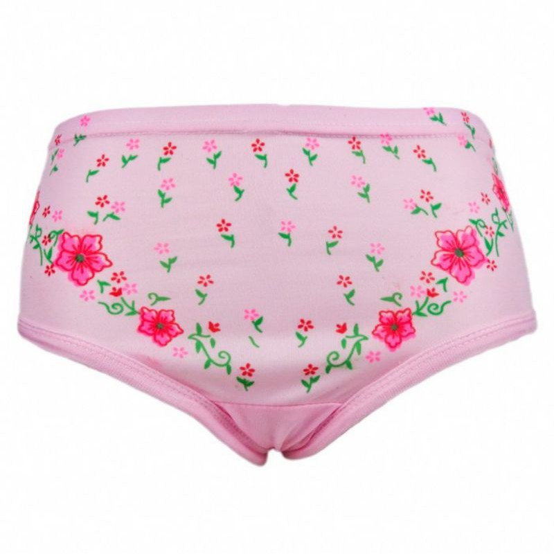 Pakaian Dalam Wanita (underwear) CD Wanita menstruasi lembut, halus ukuran Big size jumbo