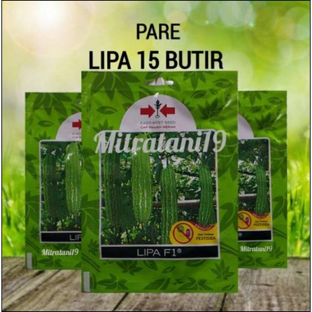 BENIH BIBIT TANAMAN SAYUR HIDROPONIK PARE PARIA LIPA SP 15 BUTIR CAP PANAH MERAH