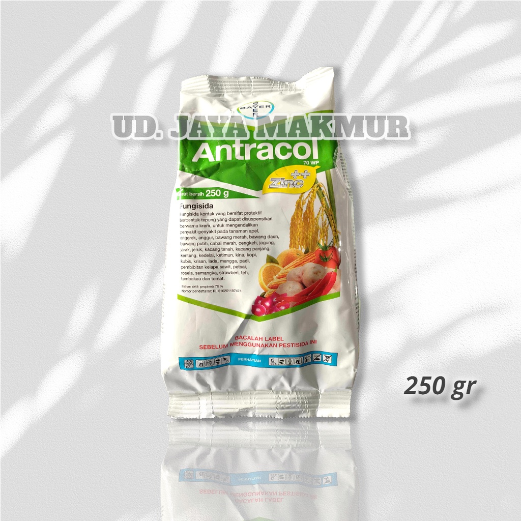 ANTRACOL 250 gr / OBAT JAMUR / FUNGISIDA