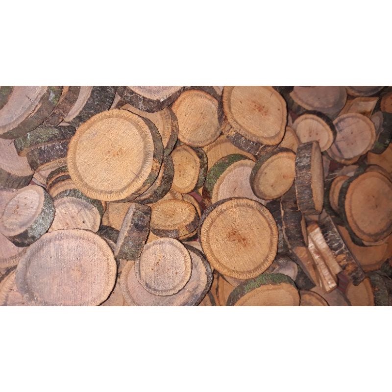 BAJAKAH TAMPALA TUNGGAL GRADE A