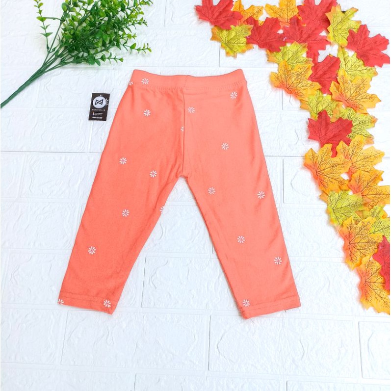 Grosir Lejing Legging Anak Perempuan Celana Panjang Cewek Polos dan Motif Usia 1-12 Tahun