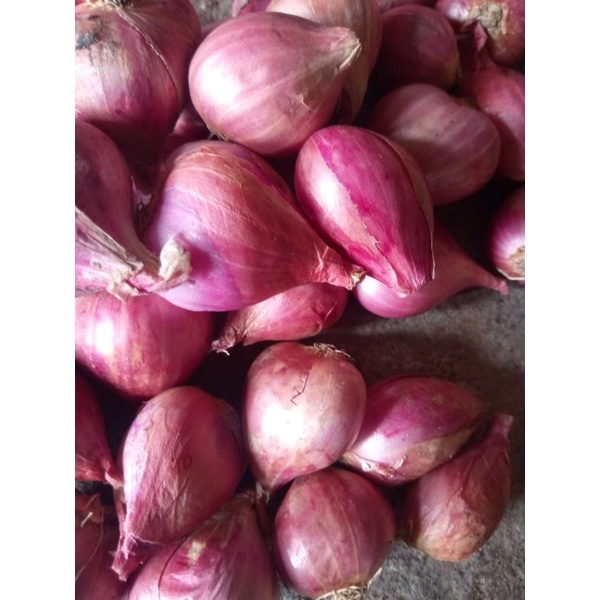 

Bawang Merah