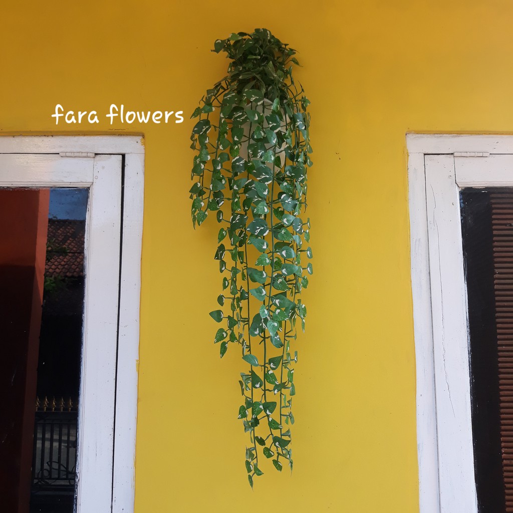 Bunga Daun Juntai Bunga Dinding Rembet Juntai