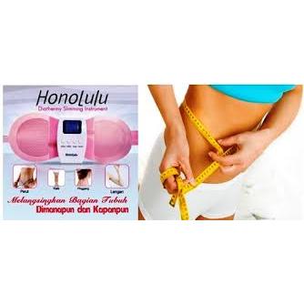 Honolulu Koyo Elektrik