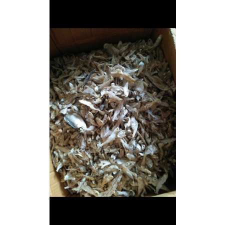 

IKANKERING/ikan sampah