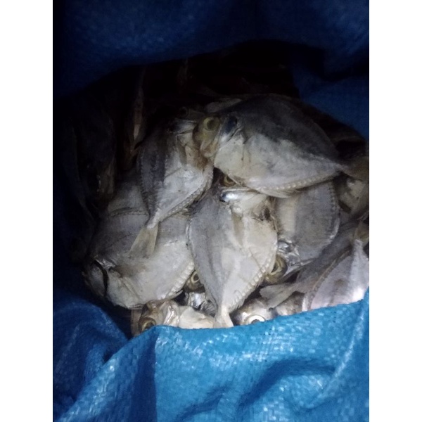

ikan asin petek ukuran sedang.